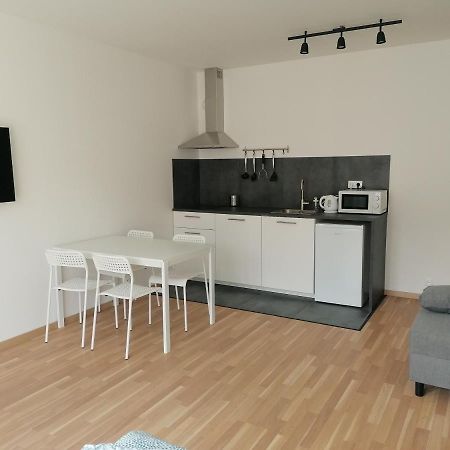 Brand New Studio Apartment #21 With Free Secure Parking In The Center Прага Экстерьер фото
