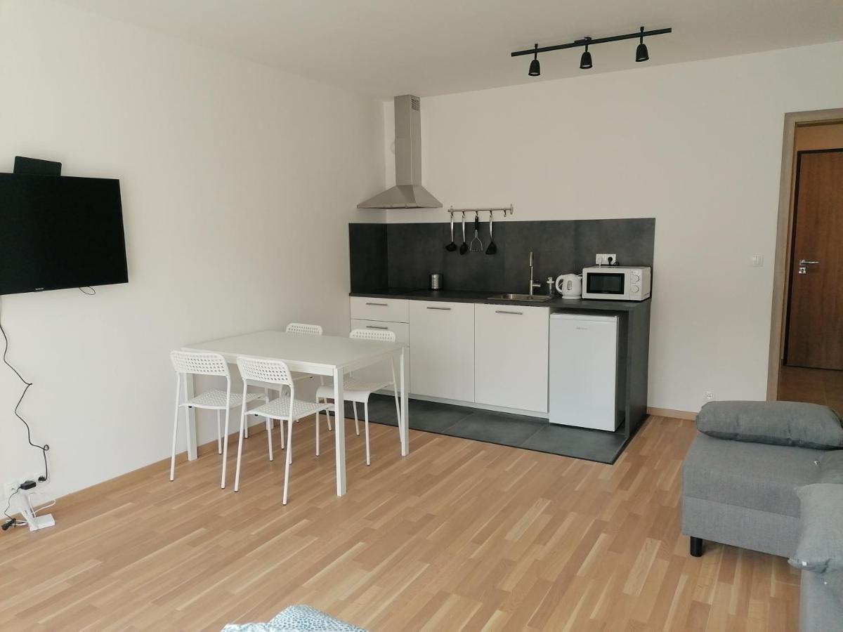 Brand New Studio Apartment #21 With Free Secure Parking In The Center Прага Экстерьер фото