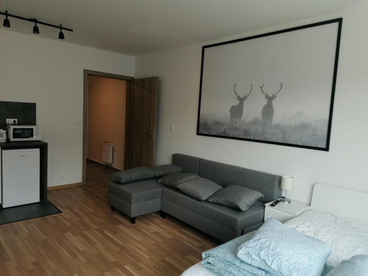 Brand New Studio Apartment #21 With Free Secure Parking In The Center Прага Экстерьер фото